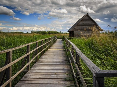 Zehn Jahre Mentorinnen-Programm für Migrantinnen