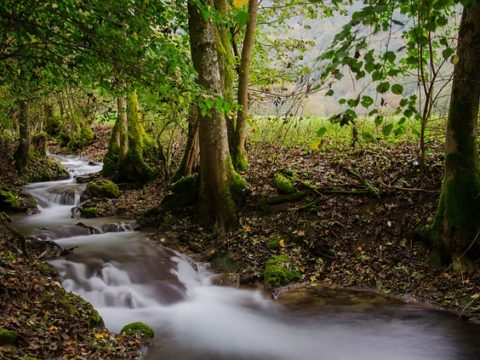 4,3 Millionen Euro für berufliche Weiterbildung von Langzeitarbeitslosen 4,3 Millionen Euro für berufliche Weiterbildung von Langzeitarbeitslosen