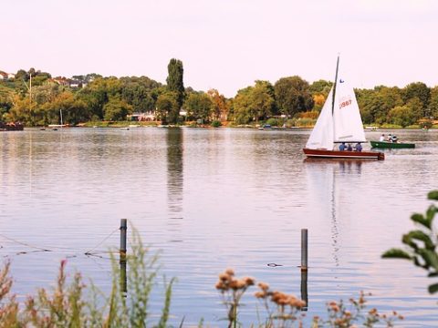 Stuttgart will neue Klima-Projekte fördern: Unterstützung für Innovation und Bürgerinitiative