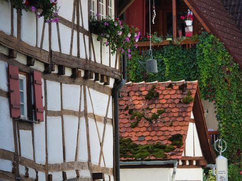 Gegen erneute Verbote für Automobilbranche