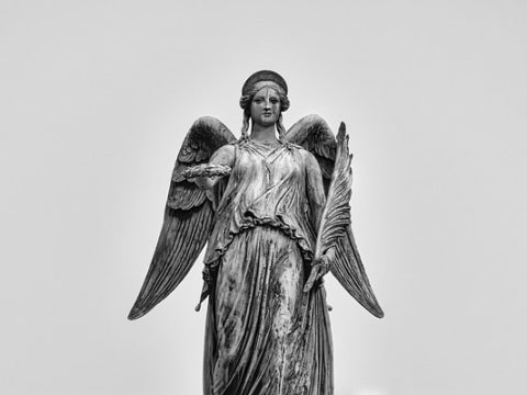 Stuttgart will neue Klima-Projekte fördern: Unterstützung für Innovation und Bürgerinitiative