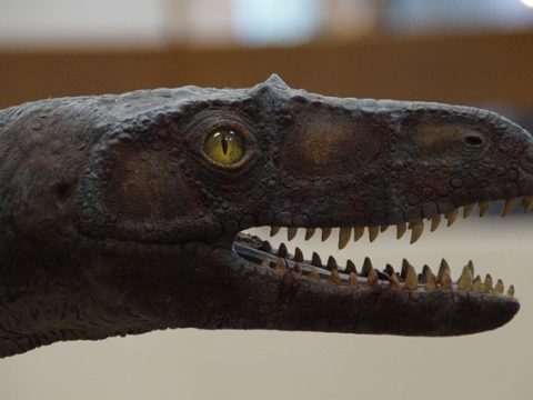 Licht aus für den Klimaschutz: Stuttgart beteiligt sich an Earth Hour