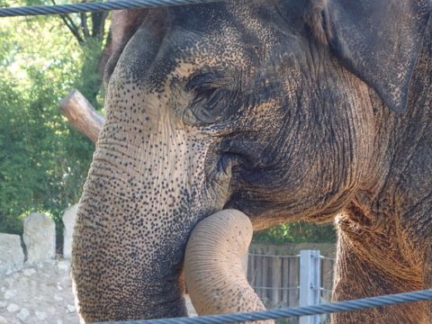 Schulstandort Hohewart in Feuerbach: Preisgericht entscheidet sich für zwei erste Preise – Überarbeitung vor endgültiger Auswahl