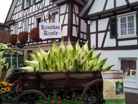 Licht aus für den Klimaschutz: Stuttgart beteiligt sich an Earth Hour