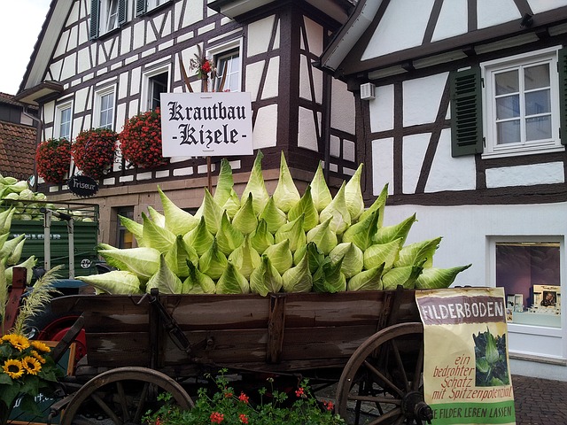 Der Philosoph und Soziologe Jürgen Habermas ist am 14. März in Starnberg im Alter von 96 Jahren verstorben. Die Landeshauptstadt Stuttgart und das Museum Hegel-Haus trauern um den Denker, dem Stuttgart 1973 den Hegel-Preis verliehen hat.