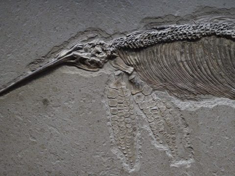 Licht aus für den Klimaschutz: Stuttgart beteiligt sich an Earth Hour