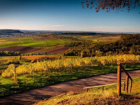 Schulstandort Hohewart in Feuerbach: Preisgericht entscheidet sich für zwei erste Preise – Überarbeitung vor endgültiger Auswahl