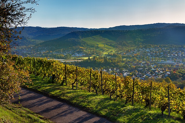 Neue Akzeptanzstellen für Bürgerinnen und Bürger mit Ehrenamtskarte