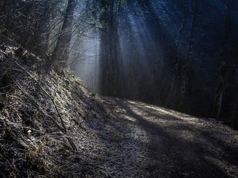 Kompensationsverzeichnis wird erweitert Kompensationsverzeichnis wird erweitert