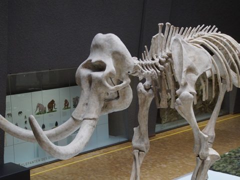 Licht aus für den Klimaschutz: Stuttgart beteiligt sich an Earth Hour