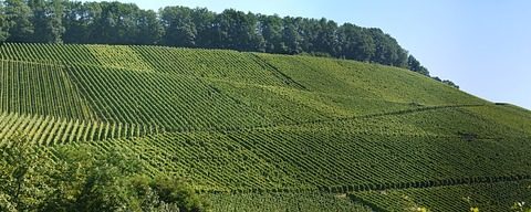 Schulstandort Hohewart in Feuerbach: Preisgericht entscheidet sich für zwei erste Preise – Überarbeitung vor endgültiger Auswahl