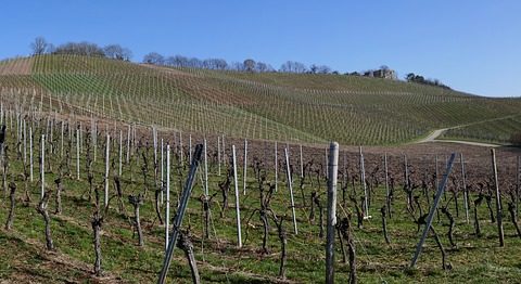 Licht aus für den Klimaschutz: Stuttgart beteiligt sich an Earth Hour