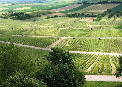 Schnellere Digitalisierung der Verwaltung