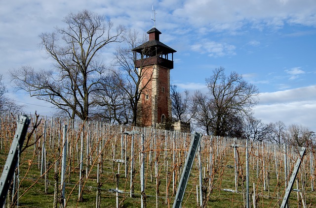 Stadtpalais und Stuttgarter Ballett präsentieren Geschichte des Balletts von John Cranko bis zur Gegenwart in einer Sonderausstellung