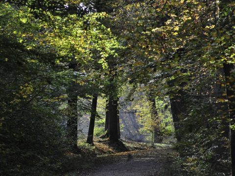 Feierliche Einweihung der Mensa für Körschtalschule und Paracelsus Gymnasium