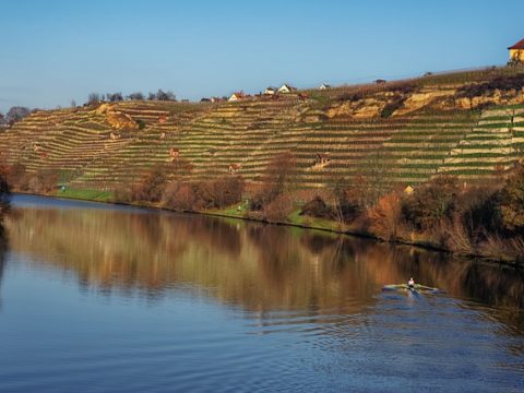 Feierliche Einweihung der Mensa für Körschtalschule und Paracelsus Gymnasium