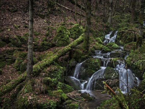 Lebensfeldbegrenzungen reduzieren, Menschen mit multiplen Persönlichkeiten zu mehr Lebensqualität verhelfen